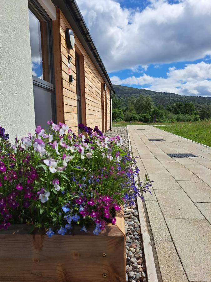 An Spiris Accommodation At Dundreggan Rewilding Centre 外观 照片